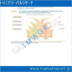 市場と産業調査レポートのイメージ